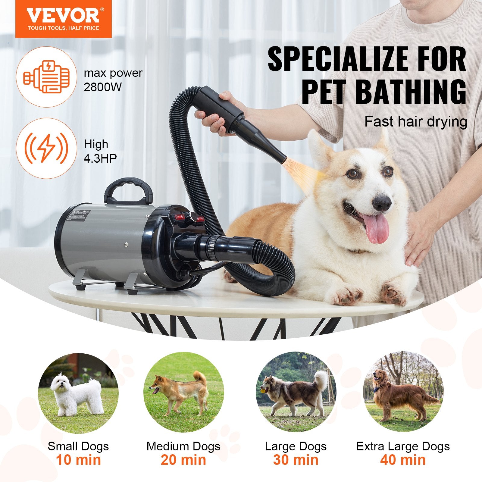 Dog Dryer, 2800W/4.3HP Dog Blow Dryer, Pet Grooming Dryer With Adjustable Speed And Temperature Control, Pet Hair Dryer With 4 Nozzles And Extendable Hose, Grey And Black