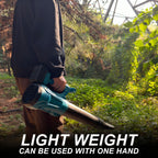 Wireless Dust Blower With Two Motors