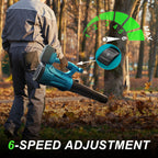 Wireless Dust Blower With Two Motors